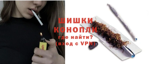 ешки Новодвинск