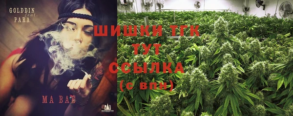 ешки Новодвинск