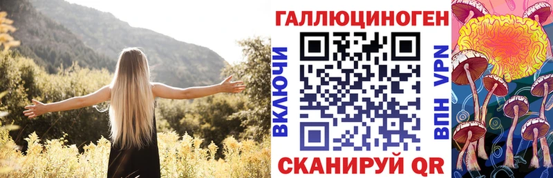ОМГ ОМГ ССЫЛКА  Чкаловск  Псилоцибиновые грибы Psilocybe 