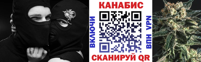 Бошки марихуана планчик  закладки  Чкаловск 